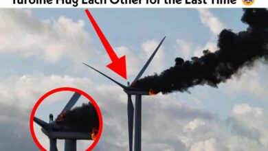 Two Engineers Hug and Die on Top of a Burning Wind Turbine